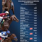 Photo by Coolmore America (@coolmoreamerica)