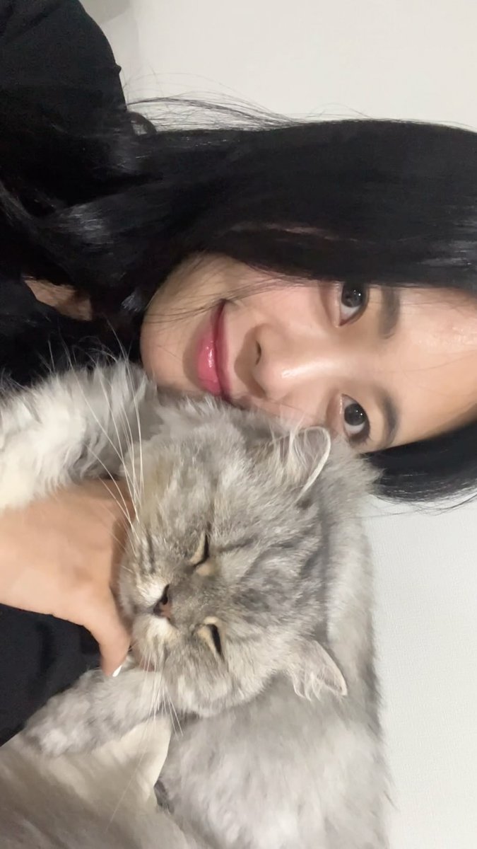 yunanmi's tweet photo. 내 어깨에 고양이있다

https://t.co/zhJGOyGaIn
https://t.co/lemqmH8HQD

#김혜미 #KimHyemi #혜미 #Hyemi #AOA #에이오에이 #Dohwa #임도화 #도화 #Yuna #유나 #HyeJeong #혜정 #Seolhyun #설현 #Jimin #지민 #Choa #초아 https://t.co/0edYorJIci