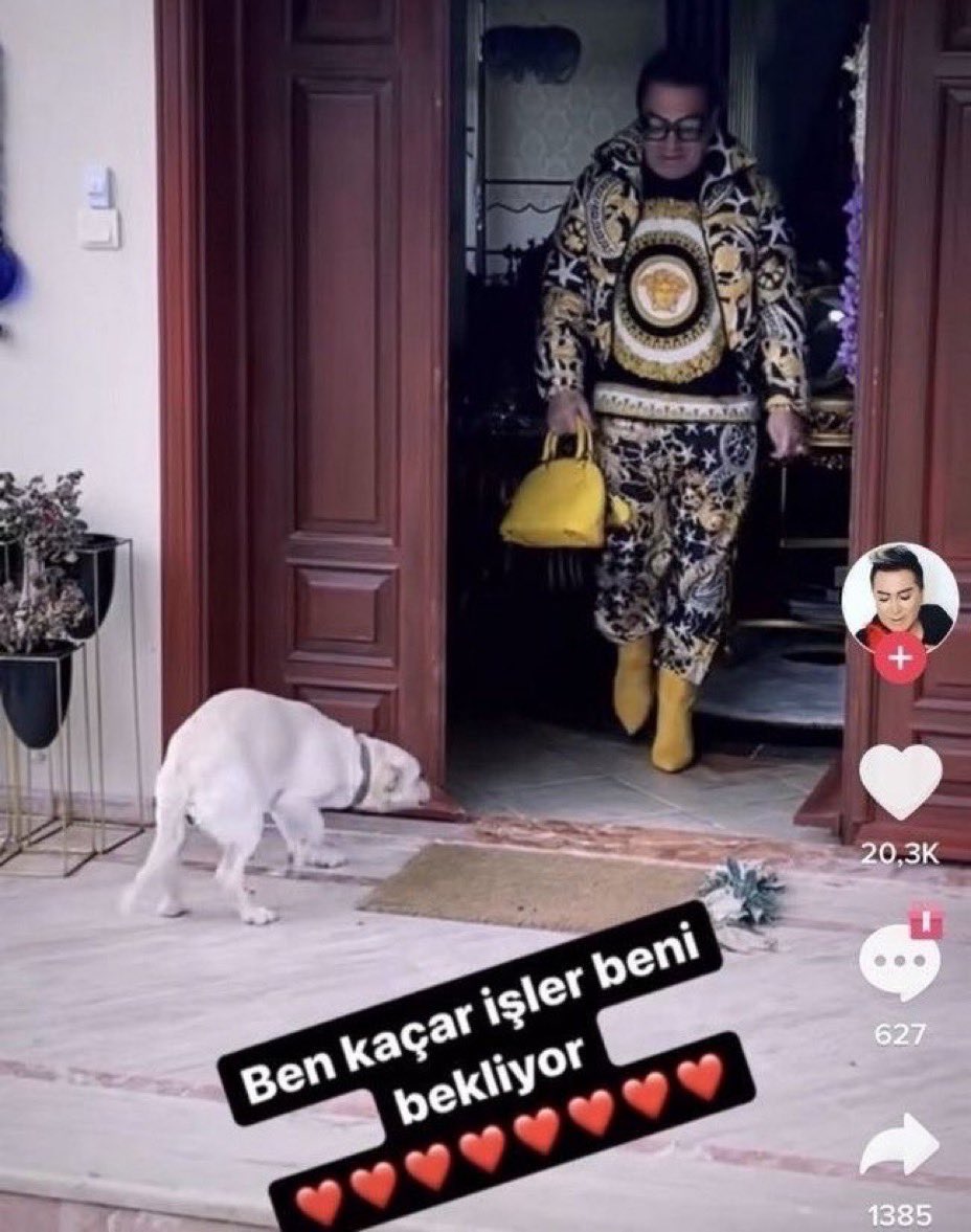 hadsnpluto's tweet photo. copy paste dilekce yazmaya ofis giderken https://t.co/sMOfcl5xyT