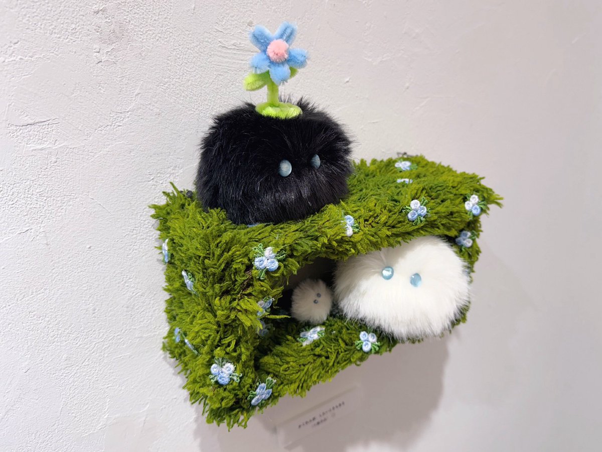 akky0e0's tweet photo. 🌱妖精の草原🌱に迷い込んだようなほっこり空間でした☺️

#けさぱさ個展 https://t.co/odH8peox2t