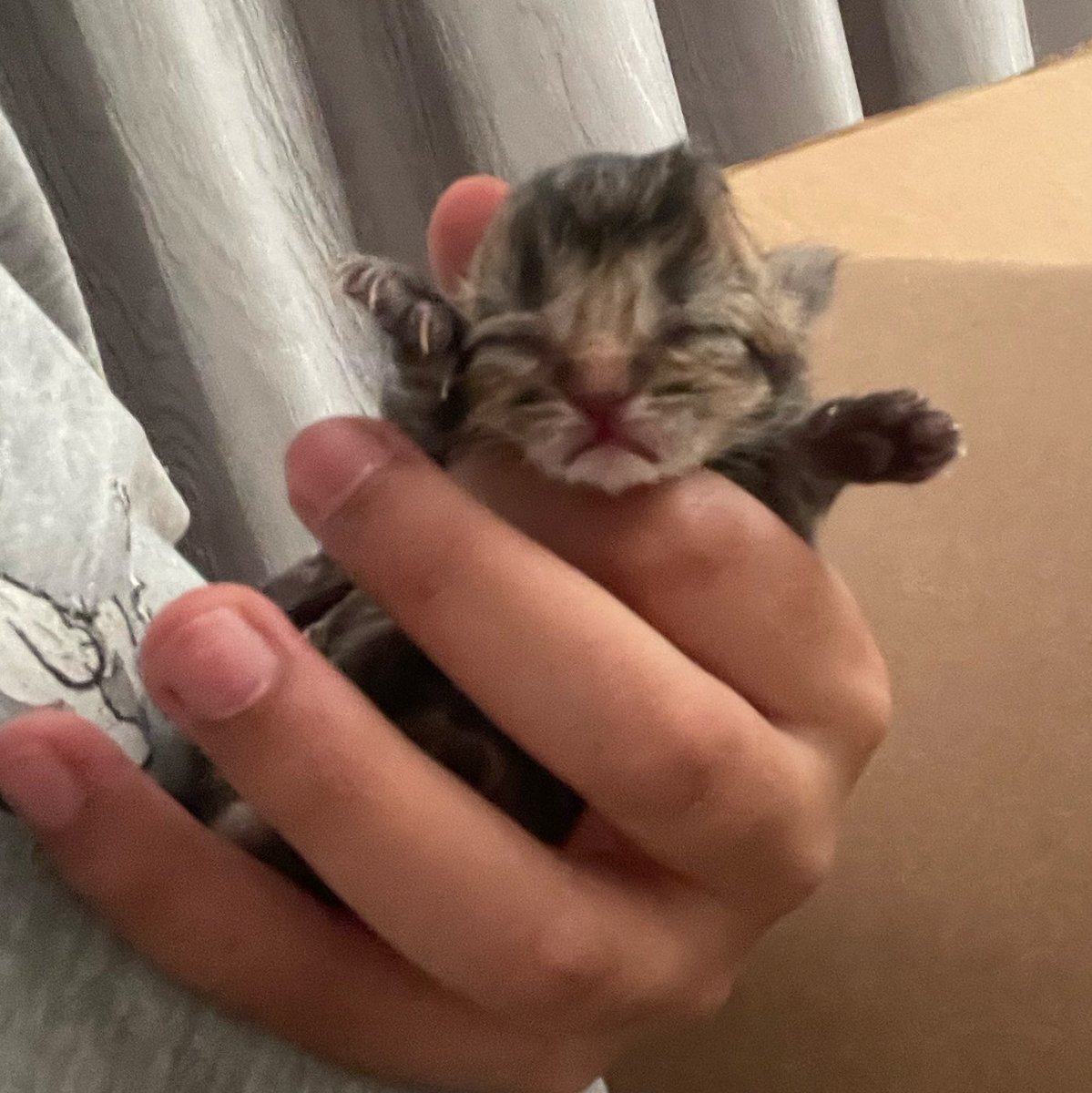 k4zumoii's tweet photo. she looks just like her mom when she was a baby 🥹 https://t.co/85TBDx9HOA