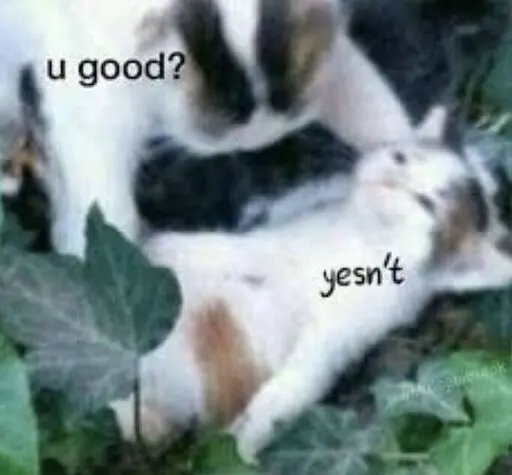 tsii139808's tweet photo. SPOLIER// #BoyWithCaution

oh my god, ISTG, im never getting my abandoned, heartbroken, care needed ass attach to a sensitive bl. 

because this is it. im even more scared to watch fool in love now. 

i sure as hell wanted a different ending, im sad and disappointed ☹️ https://t.co/UkLO7JT6ys