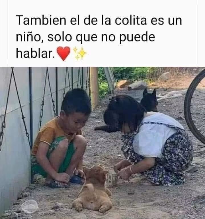 GRamirezF_D12's tweet photo. Buenos días Feliz miércoles ✨💖 https://t.co/qCLeDuja9H