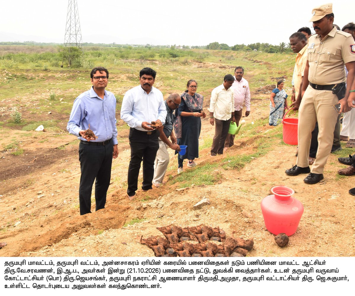 collrdpi's tweet photo. தருமபுரி மாவட்டம், தருமபுரி வட்டம், அன்னசாகரம் ஏரியின் கரையில் சுமார் 5,000 பனைவிதைகள் நடும் பணியினை மாவட்ட ஆட்சியர் திரு.வே.சரவணன், இ.ஆ.ப., அவர்கள் இன்று (21.10.2026) பனைவிதை நட்டு, துவக்கி வைத்தார்கள். https://t.co/6UkfVpanWA