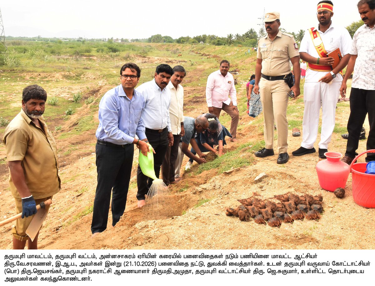 collrdpi's tweet photo. தருமபுரி மாவட்டம், தருமபுரி வட்டம், அன்னசாகரம் ஏரியின் கரையில் சுமார் 5,000 பனைவிதைகள் நடும் பணியினை மாவட்ட ஆட்சியர் திரு.வே.சரவணன், இ.ஆ.ப., அவர்கள் இன்று (21.10.2026) பனைவிதை நட்டு, துவக்கி வைத்தார்கள். https://t.co/6UkfVpanWA