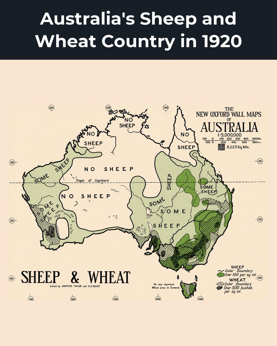 amazingmap's tweet photo. Australia's national sheep flock numbered about 180 million in the late 1980s, its peak. https://t.co/BGqxvpRddm