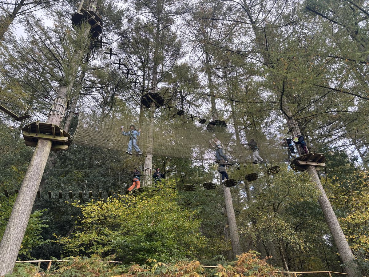 shakespeareLS9's tweet photo. Group 2 have arrived at Go Ape 😊 https://t.co/EktjdFQe5S