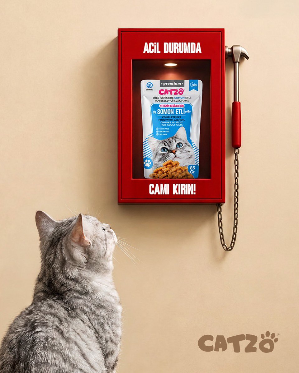 catzocomtr's tweet photo. 🚨Acil durumda camı kırın! #catzo https://t.co/41m5NTEpKK