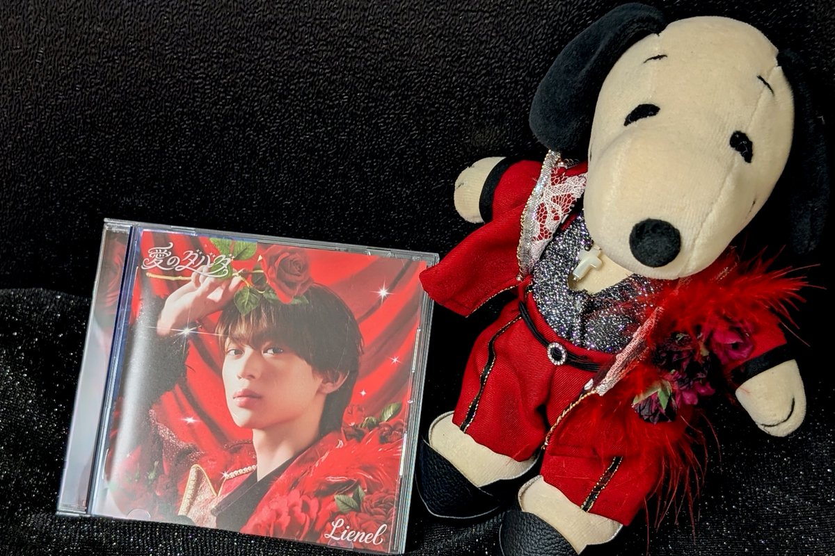 N20H19's tweet photo. 愛のダバダ、リリースおめでとう🌹

我が家のぬいぐるみも、手作り衣装でダバダ仕様です✨(made by 母)笑

#Lienel 
#リエネル_愛のダバダ
#近藤駿太 https://t.co/VNZyOWAUdL