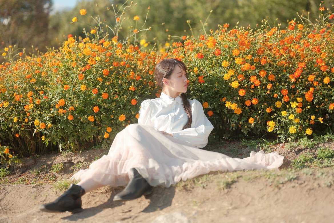 swee_eety115's tweet photo. 君を秋桜にたとえようか。 https://t.co/onistgfxXS