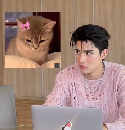 myminnxsnp's tweet photo. ยัยต๋าน่ารักอ่ะ อยากแกล้งให้งอนทั้งวัน✨🎀🦌

#ongsacelcius ᰔᩚ₊⋆ https://t.co/GHASrfBVr7