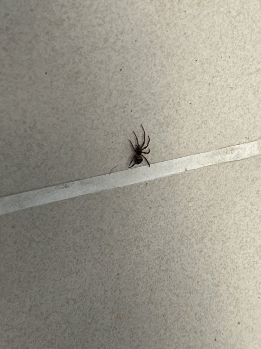 Morgan_Mortem's tweet photo. so small.. https://t.co/bPyU5ycZjz