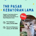 Photo by Let's Adopt! (Indonesia) (@LetsAdoptInd)