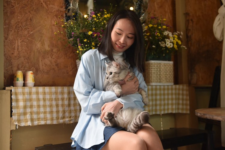 RCScience's tweet photo. A hormonal bond between cats and their owners: "Owners with higher oxytocin tended to have cats with higher oxytocin, too. Higher feline oxytocin was also associated with fewer negative emotions and lower cortisol in owners." via @ScienceAlert   https://t.co/vVXeHJZLAH https://t.co/KGF7vqPEdu