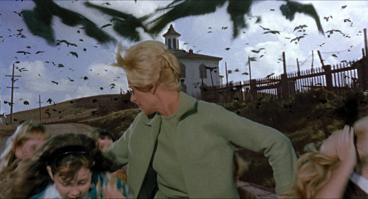 HauntedMovies's tweet photo. The Birds (1963) dir. Alfred Hitchcock https://t.co/uoU3MwhWWe