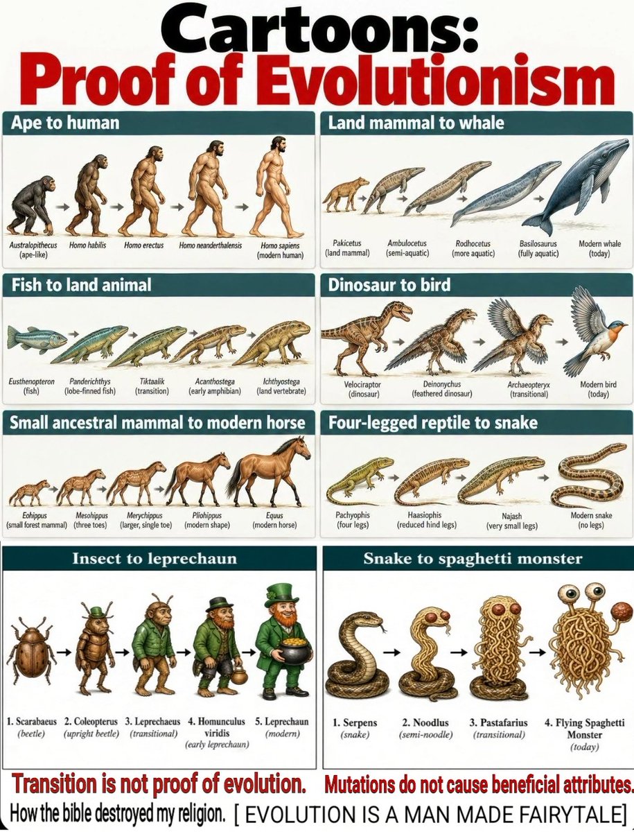 sashuwa77246's tweet photo. @NotEvolution1 And when you evolve. You evolve things necessary for life without experiencing the environment needed to sustain that life. 🤡 https://t.co/28HWW4RbJ6