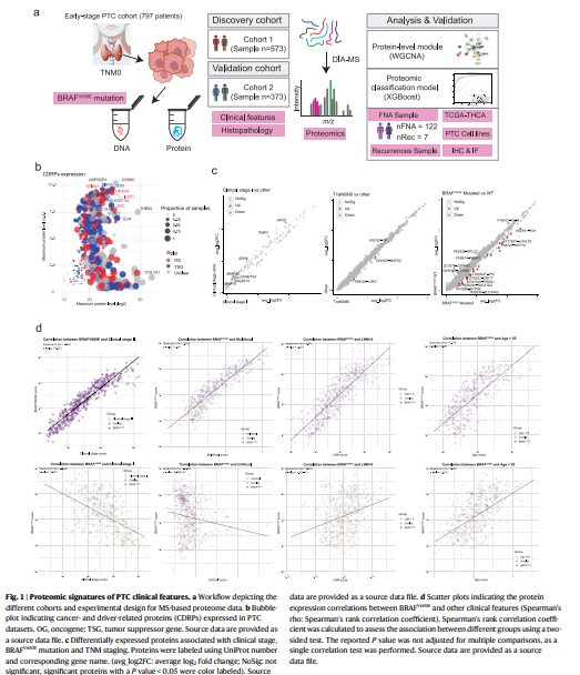 AponiaAnalytics's tweet photo. 🦉 Small Tumors, Dangerous Biology

Early-stage cancer is often treated as low-risk disease. But tumor size and clinical stage may conceal very different biological trajectories.

A proteomic analysis of papillary thyroid cancer samples from 797 patients identified six molecular subtypes, ranging from highly differentiated tumors to those enriched in invasive and proliferative programs.

One particularly interesting group, representing just 4.9% of discovery samples, showed elevated ribosome biogenesis, RNA processing, and pathways associated with malignant progression.

Meanwhile, GPX3 marked a more differentiated, favorable phenotype, whereas TMSB4X was enriched in the higher-risk, ribosome-biogenesis subtype.

The underlying question is whether anatomical staging captures the biology that actually determines progression.

These retrospective findings do not yet establish which patients can safely avoid surgery. But they suggest that molecular differentiation and protein synthesis programs could help distinguish genuinely indolent tumors from aggressive disease hiding within an early-stage diagnosis.
#immunotherapy #CAR_T #T_cell
https://t.co/cNnmiI2hhc