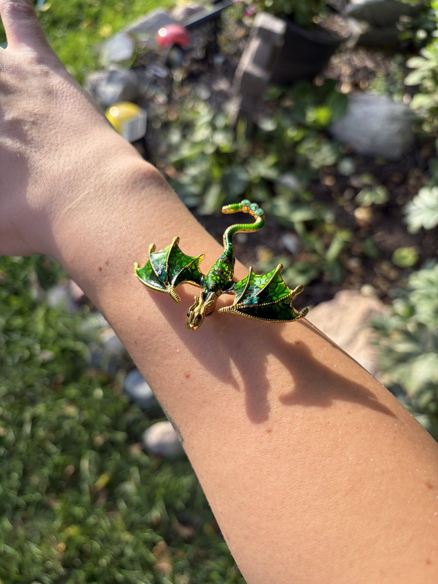 gregthesorcerer's tweet photo. A gross little wyvern just landed on me https://t.co/hmAg2wsiJs