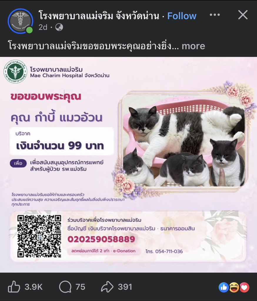 kittylucabludaa's tweet photo. เพจโรงพยาบาลแม่จริม จังหวัดน่าน เปิดรับบริจาค(ลดหย่อนภาษีได้ 2 เท่า) แล้วคนส่งรูปน้องแมว น้องหมาไป 🐱🐶 มีแต่ตัวน่ารักๆ ได้ทำบุญให้รพและได้อวดลูกๆด้วย 

สนับสนุนให้มาร่วมทำบุญกับโรงพยาบาลดีกว่า จะเป็นรพใกล้บ้านเราก็ได้ (ไม่จำเป็นต้องทำที่วัดอย่างเดียว) https://t.co/Lt0p1po4Lc