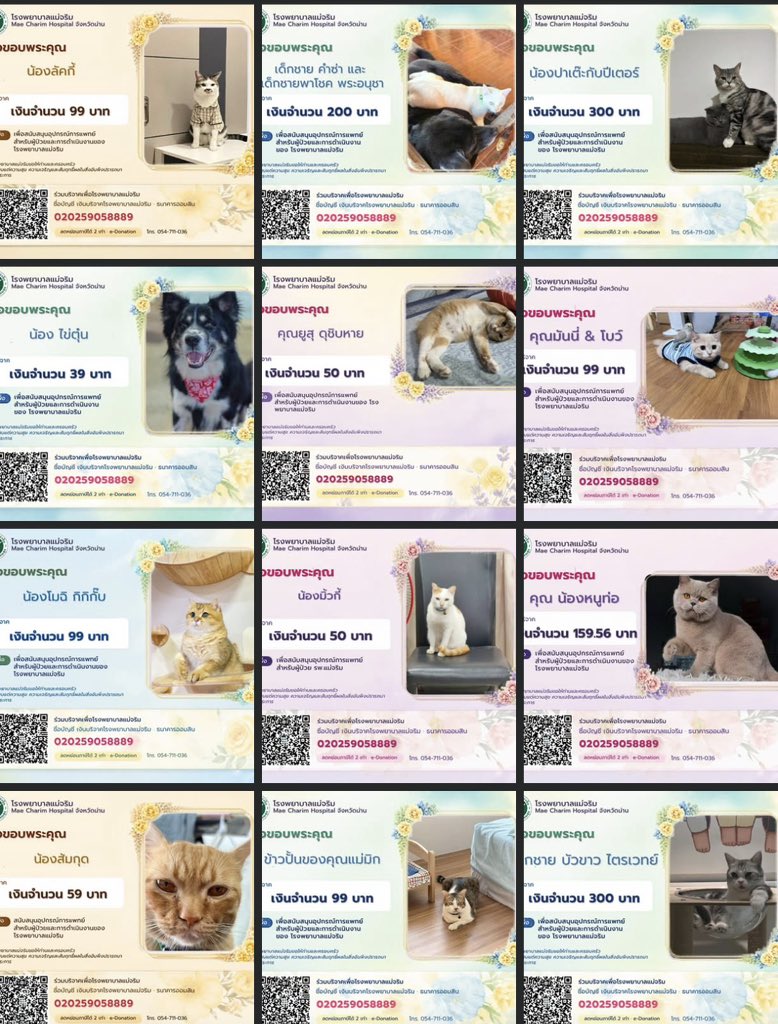 kittylucabludaa's tweet photo. เพจโรงพยาบาลแม่จริม จังหวัดน่าน เปิดรับบริจาค(ลดหย่อนภาษีได้ 2 เท่า) แล้วคนส่งรูปน้องแมว น้องหมาไป 🐱🐶 มีแต่ตัวน่ารักๆ ได้ทำบุญให้รพและได้อวดลูกๆด้วย 

สนับสนุนให้มาร่วมทำบุญกับโรงพยาบาลดีกว่า จะเป็นรพใกล้บ้านเราก็ได้ (ไม่จำเป็นต้องทำที่วัดอย่างเดียว) https://t.co/Lt0p1po4Lc
