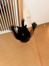 Poca2381's tweet photo. 此乃何物啊 https://t.co/2C3nwhepg5