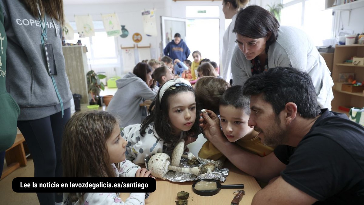 vozdesantiago's tweet photo. 🌿 #VozNatura | Clasificar setas, plantar árboles y conocer pájaros, el exitoso reto del CRA Neira Vilas en #Boqueixón y #Vedra https://t.co/5Wo7DxYFVC