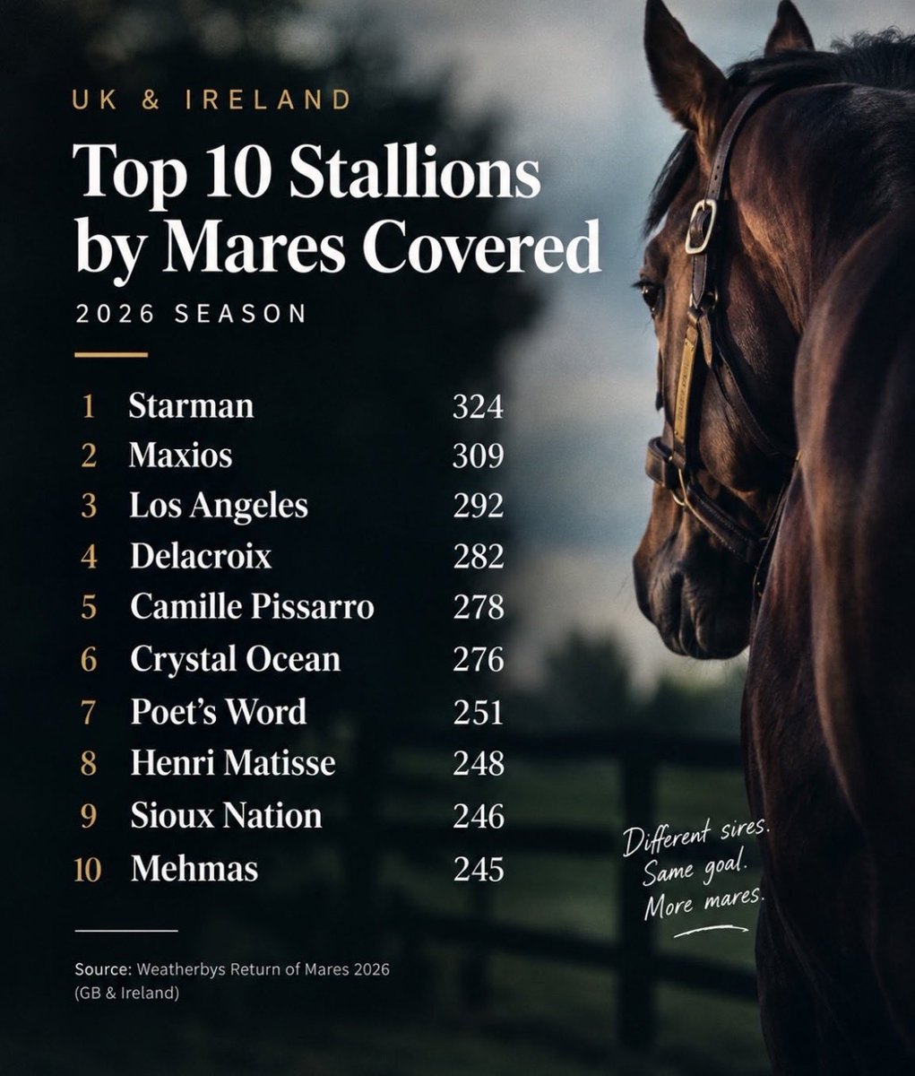 Oneclubman's tweet photo. 🏇 Starman @TallyHoStud lidera las cubriciones de 2026 en Irlanda y Reino Unido con 324 yeguas. Los Ángeles @TheCastlebridge suma 309 en su debut como semental y Maxios @TheCastlebridge completa el podio con 292. https://t.co/AQgEV211SZ