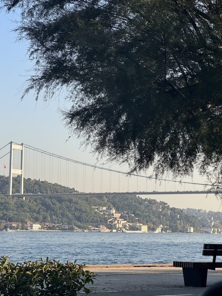 usschefo's tweet photo. İki gözümün çiçeği, bekliyor 😏 https://t.co/sDhqtNzxOW