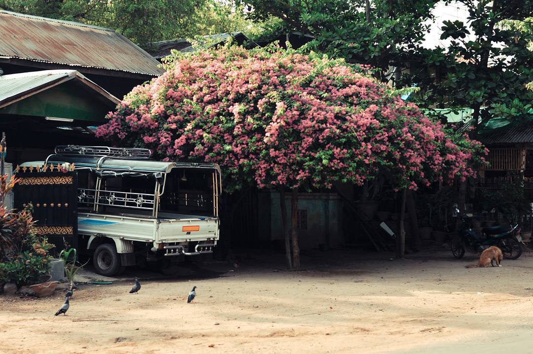AdoniAjSteelLGy's tweet photo. မန္မာနိုင်ငံအတွက် စည်းလုံးညီညွတ်မှုနှင့် မျှော်လင့်ချက်ကို ဆက်လက်ထိန်းသိမ်းကြစို့။ https://t.co/mYzAadSaiJ