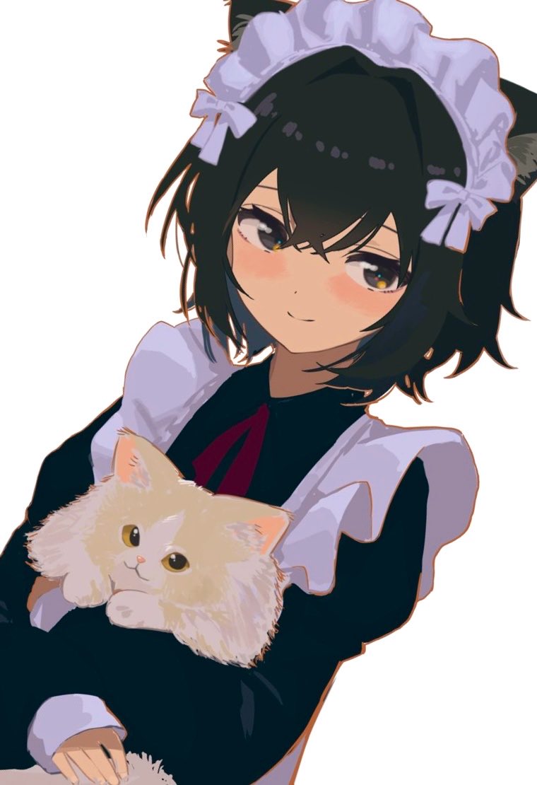 kgtdesuteni's tweet photo. https://t.co/mTitOxPDlT