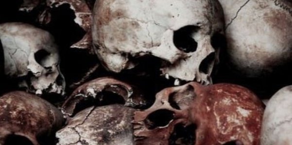 SIGNEDNOCTURNUS's tweet photo. 𝖘𝖙𝖆𝖗𝖙𝖊𝖗 𝖋𝖔𝖗
⸻̸ @FANGSNBEAUTY https://t.co/nNL4LICc87