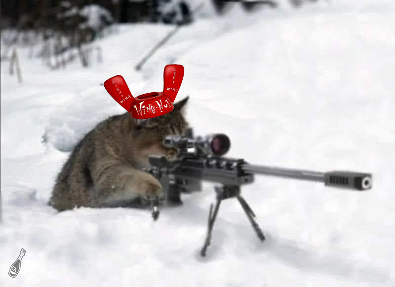 champletics's tweet photo. I'll be completely honest I fell asleep before puck drop last night. Didn't see the comeback or Cat's 300th. 

Out of respect I am posting the Sniper Cat, but I also realize it wasn't a snipe but I gotta do something here. I put the Wing Nut hat on him as a lil treat. https://t.co/RSkcoUJd3Q