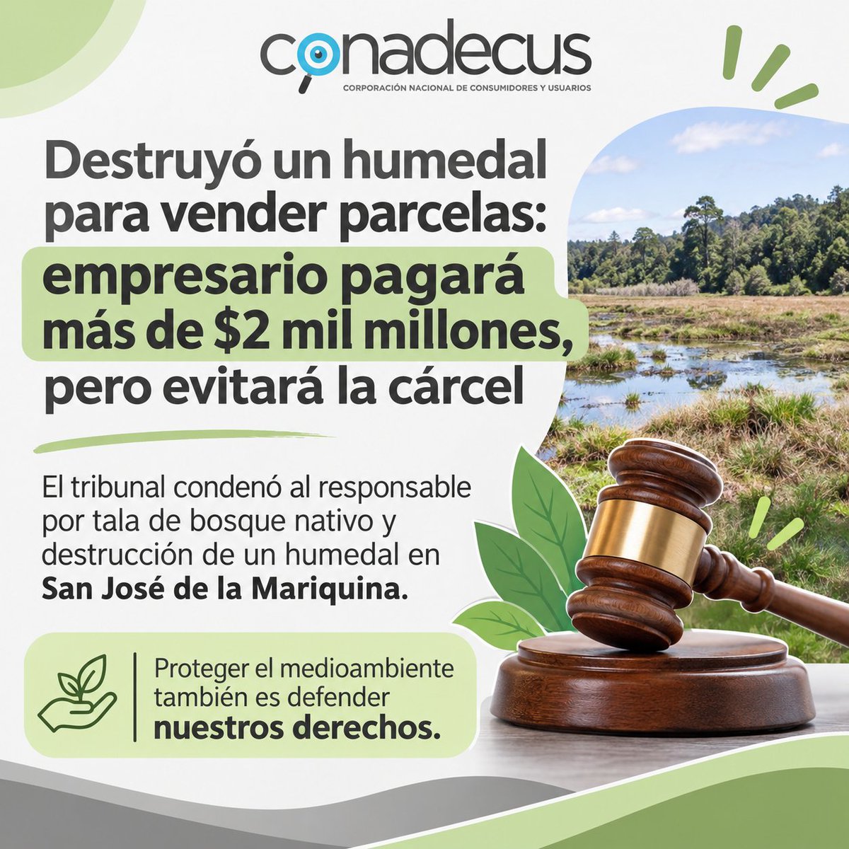 conadecus's tweet photo. 🌿 ¿Más de $2 mil millones de multa, pero sin cárcel efectiva?

Un empresario fue condenado por la destrucción de un humedal en San José de la Mariquina, tras intervenir bosque nativo y cursos de agua para habilitar terrenos destinados a la venta de parcelas.

⚖️ La sentencia contempla una multa de 30.000 UTM y cinco años de libertad vigilada, en un caso considerado histórico para la justicia ambiental chilena.

Desde CONADECUS, destacamos la importancia de exigir responsabilidad frente a los daños ambientales. Cuando un ecosistema es destruido, las consecuencias afectan a toda la sociedad y pueden ser irreparables.

🌱 Proteger el medioambiente también es defender nuestros derechos.

#CONADECUS #MedioAmbiente #DerechosCiudadanos #JusticiaAmbiental #Humedales