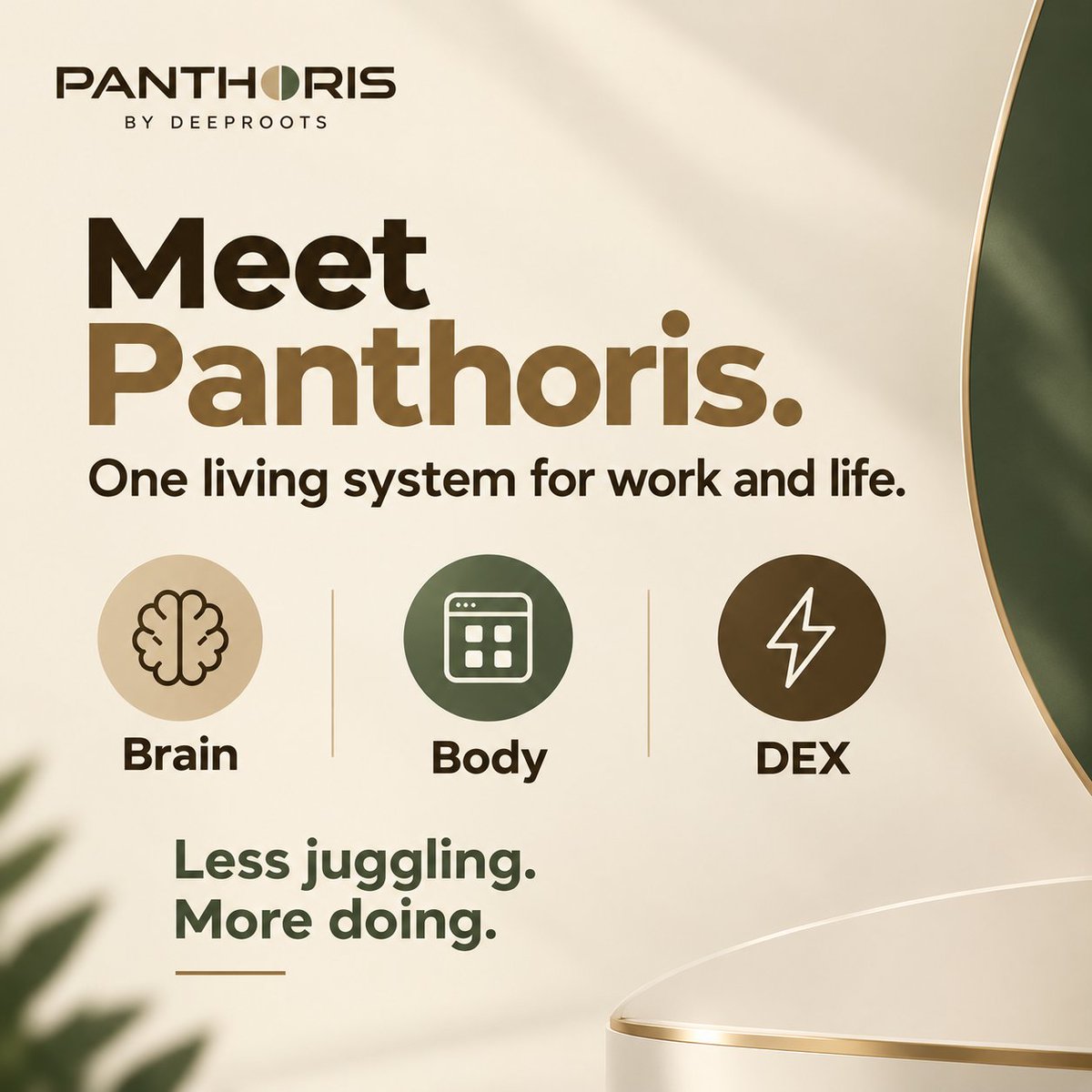 Panthoris tweet picture