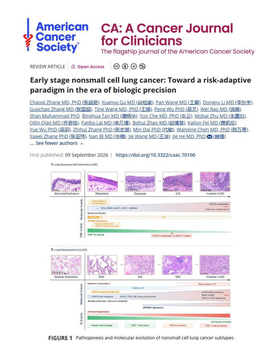 CACancerJournal's tweet photo. For early-stage nonsmall cell lung cancer, authors propose AI‐driven analytics and longitudinal molecular surveillance that enable appropriate escalation for high-risk patients while permitting safe de‐escalation for those at low risk.

https://t.co/hI5b18kPYl

@OncoAlert https://t.co/kkPeL1O7Qg