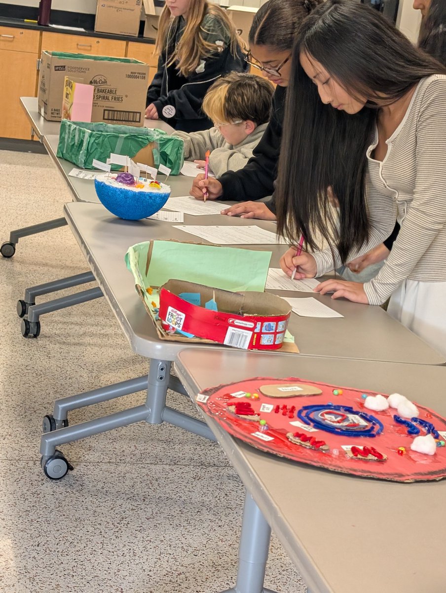 bmssteam's tweet photo. 7th grade Life Science brought science to life by creating their own cell dioramas! Students showed off their creativity while exploring the different parts of a cell and how they work together. #bmssteambulldogs #lifescience #HandsOnLearning https://t.co/sizRb4rX4x