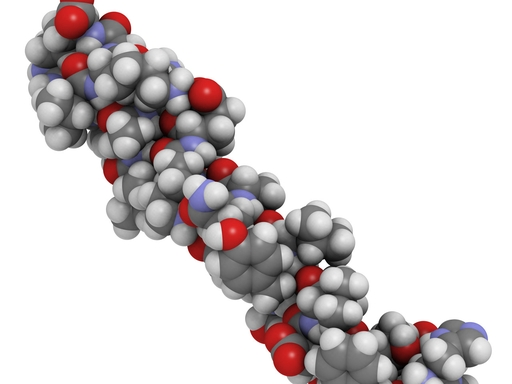 moodyhaiiley's tweet photo. 👉👉👉GLP-1: More Than Just a "Weight-Loss Miracle Drug"—A Gut Hormone Reshaping Modern Medicine

🛑🛑🛑When GLP-1 is mentioned, many people immediately think of weight-loss injections; however, its value extends far beyond weight management. Many experts in the field believe that GLP-1-based medications may represent one of the most consequential classes of drugs for human health—rivaling the impact of antibiotics and statins—and have already spawned an entirely new industry worth hundreds of billions of dollars.

🎉🎉🎉GLP-1 stands for "Glucagon-Like Peptide-1," a hormone naturally secreted within the human gut.

❤️❤️❤️When we consume food and nutrients enter the digestive tract, L-cells in the gut release GLP-1, triggering a chain reaction:

1. It sends satiety signals to the brain, helping you feel full faster and reducing the desire to eat.
2. It stimulates insulin secretion, assisting the body in utilizing blood glucose.
3. It suppresses glucagon—a hormone that raises blood sugar—thereby effectively lowering blood glucose levels.

In short, it acts as the body’s built-in blood sugar regulator and appetite "brake." However, the GLP-1 naturally produced by the human body is highly unstable and breaks down rapidly after secretion, making it unsuitable for direct medical use. Consequently, scientists developed "GLP-1 receptor agonists"—compounds that mimic its physiological effects—which are the medications commonly known today as "GLP-1 drugs."

The development of GLP-1 drugs has unfolded in two major phases:
Phase 1: Antidiabetic Medications
Initially, these drugs were developed to treat type 2 diabetes. Examples include exenatide and liraglutide, which primarily function to stabilize blood glucose levels and protect pancreatic function. During clinical use, physicians discovered an unexpected "side effect": many patients experienced significant weight loss.

Phase 2: Weight-Loss Medications
Building on this discovery, researchers further optimized the molecular structure to create versions specifically designed for weight loss—most notably, semaglutide (marketed as Wegovy).

Subsequent research has continued to reshape our understanding of GLP-1, revealing that its benefits extend well beyond blood sugar control and fat reduction. Clinical trials have confirmed that these drugs can also provide cardiovascular protection and improve non-alcoholic fatty liver disease. Some research even suggests they may delay brain aging, showing potential in the context of neurodegenerative conditions such as Alzheimer’s disease.

However, it is important to view GLP-1 objectively: it is neither a universal "miracle drug" for beauty and anti-aging, nor a one-size-fits-all shortcut for weight loss. As a prescription medication, it has specific indications and potential adverse effects, and its use requires professional medical evaluation.

From its origins as an ordinary gut hormone to its emergence as a star therapeutic target spanning the fields of metabolism, cardiology, and neurology—the story of GLP-1 is far from over.