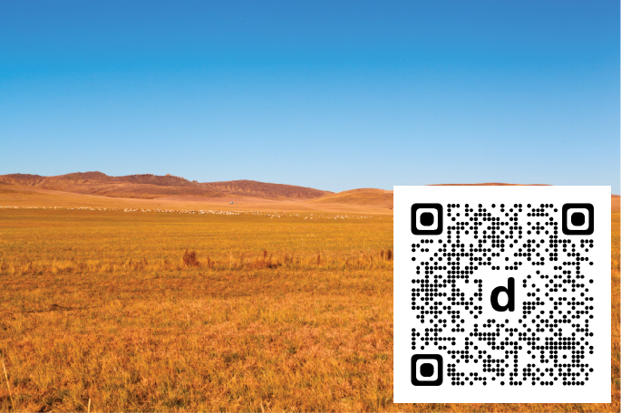 NatureRevMicro's tweet photo. New online! Aridity shifts plant–microorganism relationships dlvr.​it/TW0nWZ https://t.co/k4witpyZSt