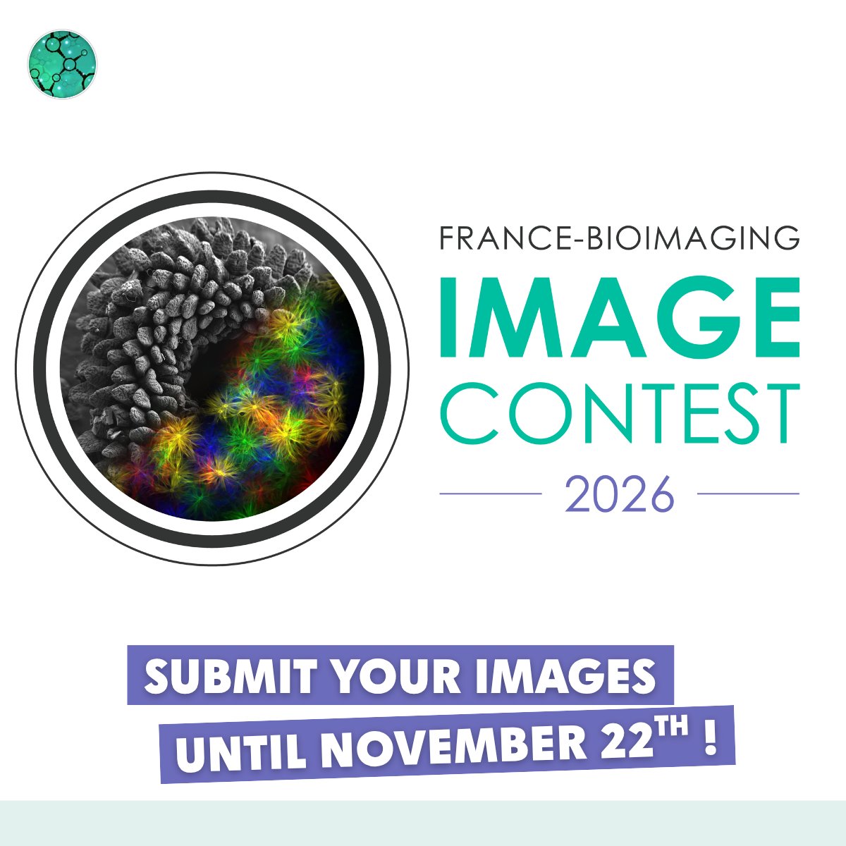 Fr_BioImaging's tweet photo. [IMAGE CONTEST] Meet our 2025 winners! 🏆

🥉 Simli Dey won 3rd place with “Kaleidoscope”. Discover her work 👉 https://t.co/TAkdkDJmxR

Want to win in 2026? Submit your image by Nov. 22! 🔬
➡️ https://t.co/W0OMxfWITj https://t.co/14exHkxmZG