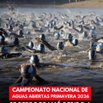 Photo by Swimchile (@Swimchileweb)