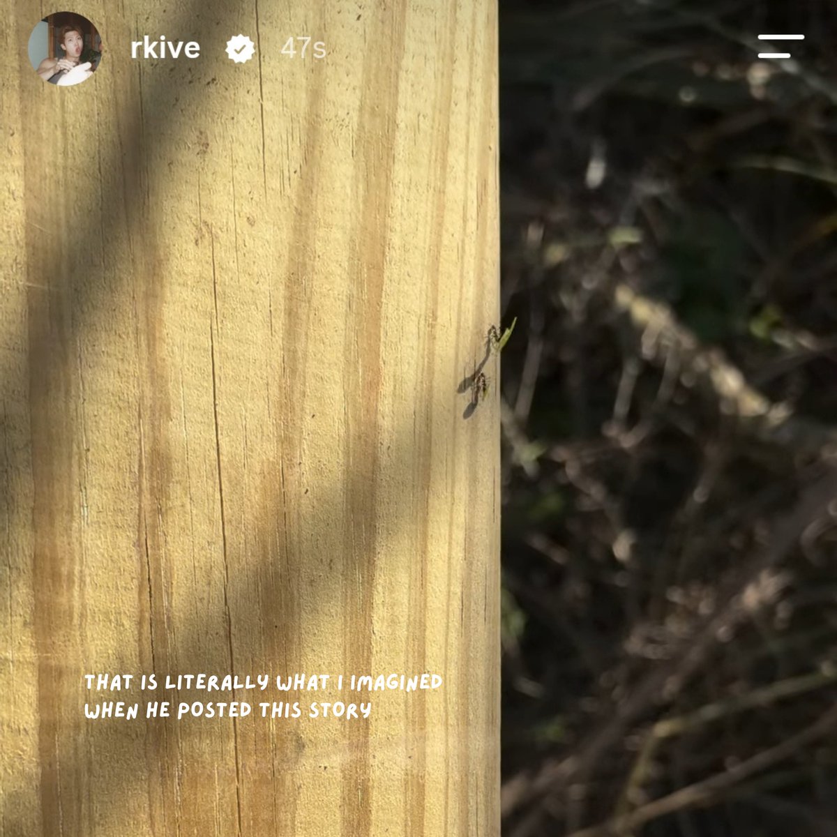 Artque94's tweet photo. Namjoon, just namjooning in his little world of wonders 🐜🌿

#namjoon https://t.co/9lT2o5JdAb