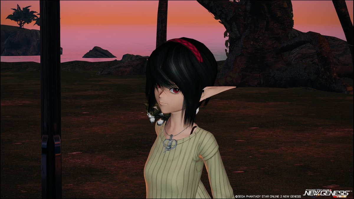 Ragol3084's tweet photo. 緊急メンテ早く終わって !
#緊急メンテなのでssを貼る 
#PSO2NGS_SS https://t.co/xWJ9vUwqq0