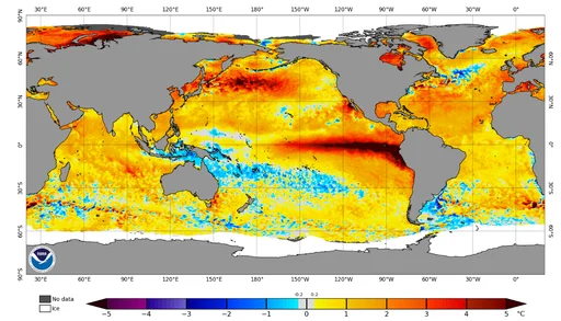 samurivas_meteo's tweet photo. Se está hablando muy muy poco de esta salvajada eh, literalmente vamos a ciegas con esto de El Niño, hablo a nivel mundial, se pueden desarrollar fenómenos meteorológicos muy extremos. https://t.co/uQUNDixElu