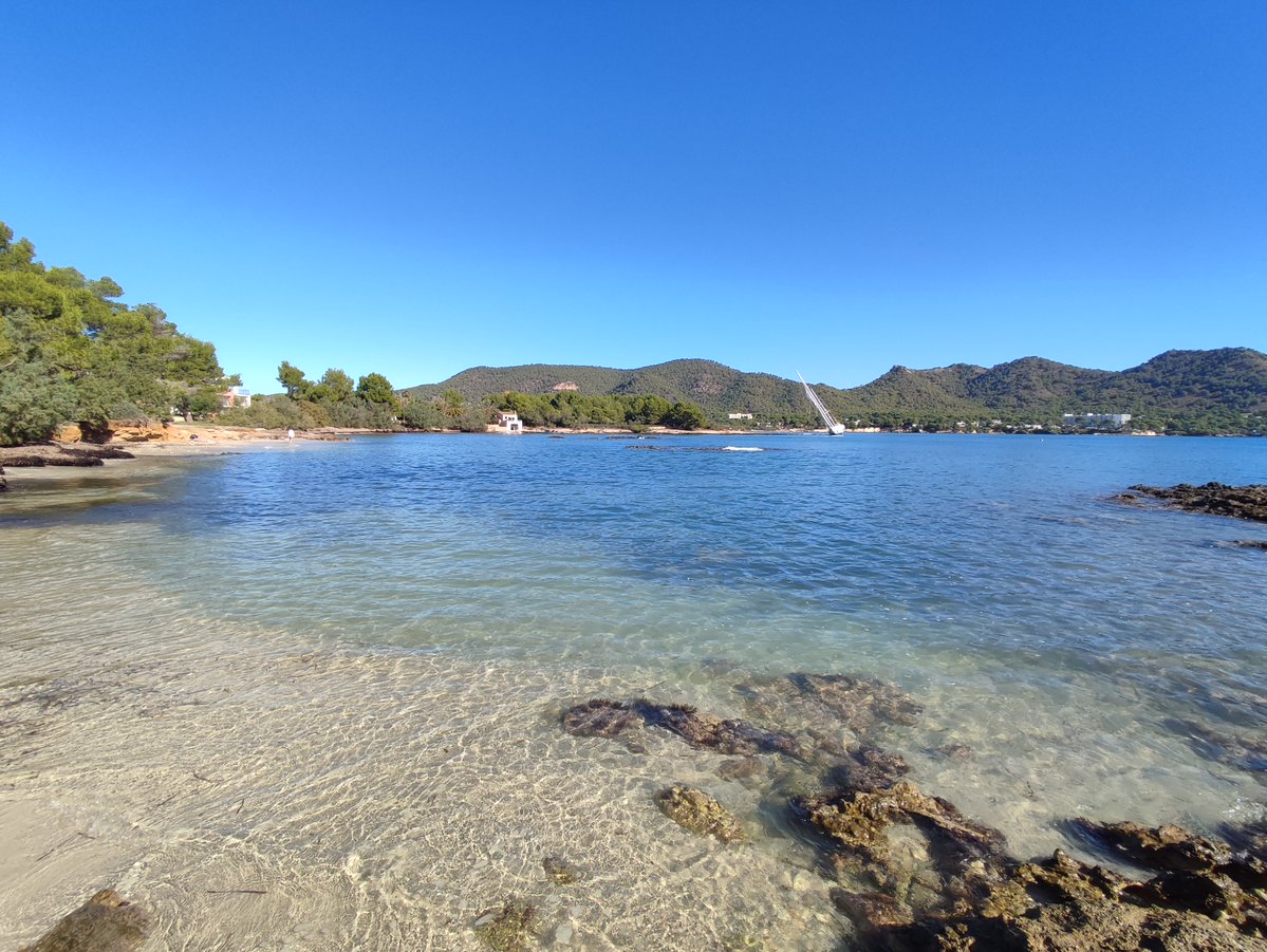 TempsIB3's tweet photo. ⛅️ Demà matí podrem tenir qualque pluja feble a Menorca. A la resta, alternança entre sol i niguls prims i qualque nigul baix.

💨🌊 Vent fluix. A primeres hores, forta maror al nord.

🌡️ Màxima d'entre 22 i 25ºC i mínima d'entre 10 i 16ºC.

📸 Mª Rosa Ballester; Costa des Pins https://t.co/1bYV7THsiz