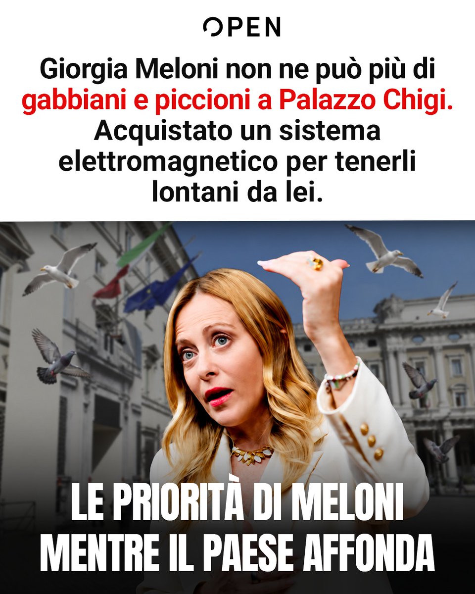 Mov5Stelle tweet picture