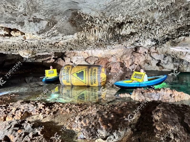 Saceci's tweet photo. 🚨💩 ¡ENCUENTRAN CONTAMINACIÓN FECAL EN AGUAS DE YUCATÁN! GREENPEACE LANZA ALERTA POR CENOTES Y POZOS

💧 ¿Qué está pasando con el agua de Yucatán? Un informe presentado por Greenpeace encendió las alertas tras analizar muestras de 17 sitios, entre cenotes y pozos, en localidades como Kinchil, Sitilpech, Motul, Chocholá, Molas, Celestún y San Antonio Tedzidz.

🦠 ¡Los resultados son preocupantes!

🔴 16 de las 17 muestras alcanzaron el límite superior de medición para coliformes totales.

🔴 En 13 muestras se registraron más de 1,800 NMP/100 ml de coliformes fecales.

🔴 Cuatro muestras alcanzaron el límite superior de medición para enterococos fecales.

⚠️ El análisis también detectó concentraciones elevadas de nitratos, fósforo y otros indicadores de contaminación en distintos puntos.

🐷 ¿Las granjas porcícolas están relacionadas con esta contaminación? Es una de las preocupaciones planteadas en torno al impacto de las actividades humanas, aunque los datos mencionados no permiten atribuir los resultados a una fuente específica.

📢 Los hallazgos reavivan el debate sobre la protección del acuífero yucateco, del que depende el abastecimiento de agua de miles de familias.

💬 ¿Crees que se está haciendo lo suficiente para proteger el agua de Yucatán?

#Yucatán #Greenpeace #Cenotes #ContaminaciónDelAgua #GranjasPorcícolas #MedioAmbiente