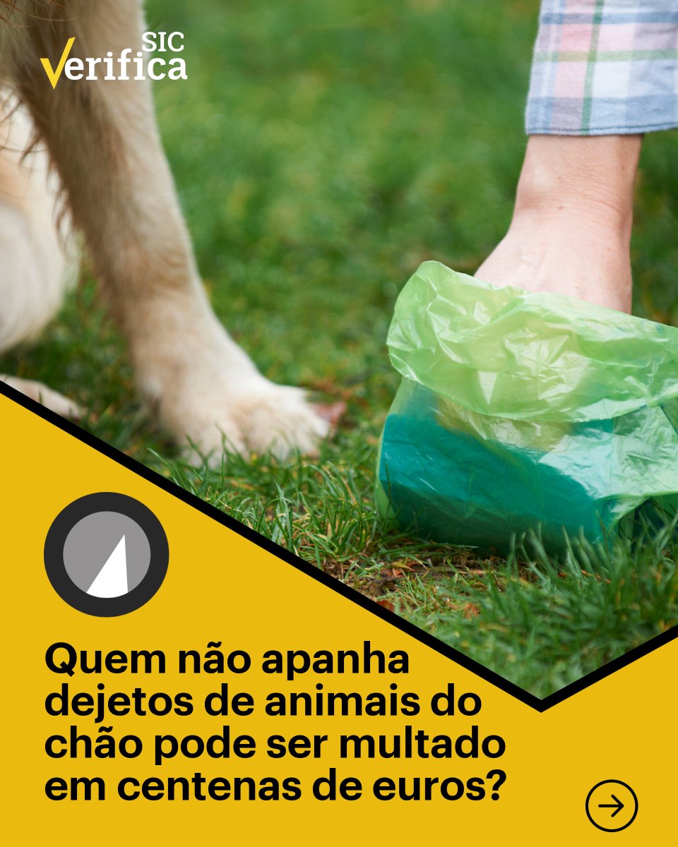 SICNoticias's tweet photo. A SIC Verifica e as respostas estão disponíveis, a qualquer momento, no site.

Confira tudo aqui: https://t.co/VT5wQC1Up6

#sicverifica #factchecking #informacao #verificacaodefactos #sociedade #dog #cao #politica #casas #animais #portugal #news #sicnoticias https://t.co/U1wS7AGgFg