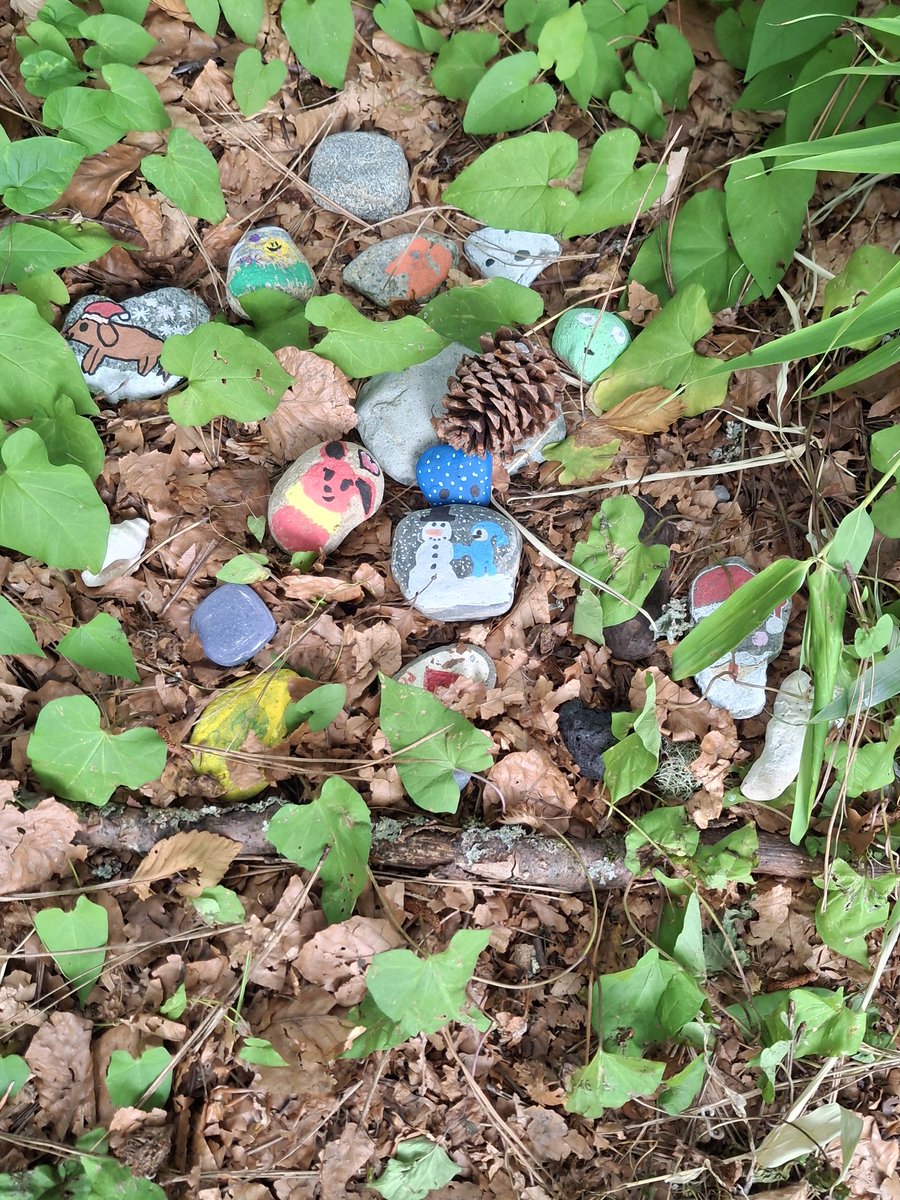Jenoco1's tweet photo. @DailyPicTheme2 #DailyPictureTheme #Tiny
Found among the trees in the park. https://t.co/jfHiS6XrQU