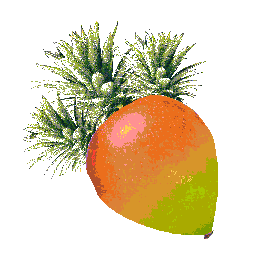 NuggetBubsyman's tweet photo. My studies., have lead me to an incredible creation. i have come up, with a new fruit.
be holden https://t.co/g6SWf2S9WU