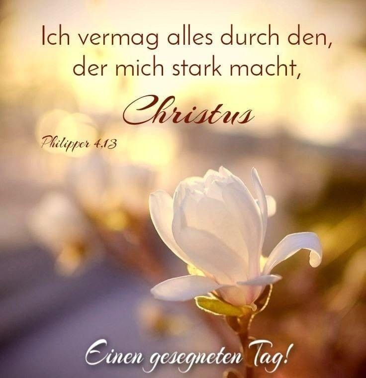 InErweckung's tweet photo. @MichaelSchvkg2 Jesus ist Sieger
#HolyBrideMessage https://t.co/TBnkafV1Gc